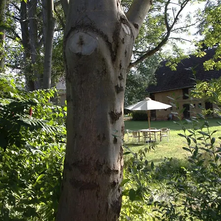 Gemuetliches Schmuckstueck Mit Zwei Schlafzimmern Mugeln