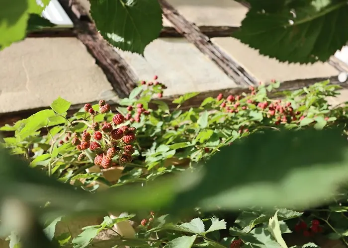 Lejlighed Gemuetliches Schmuckstueck Mit Zwei Schlafzimmern Mugeln